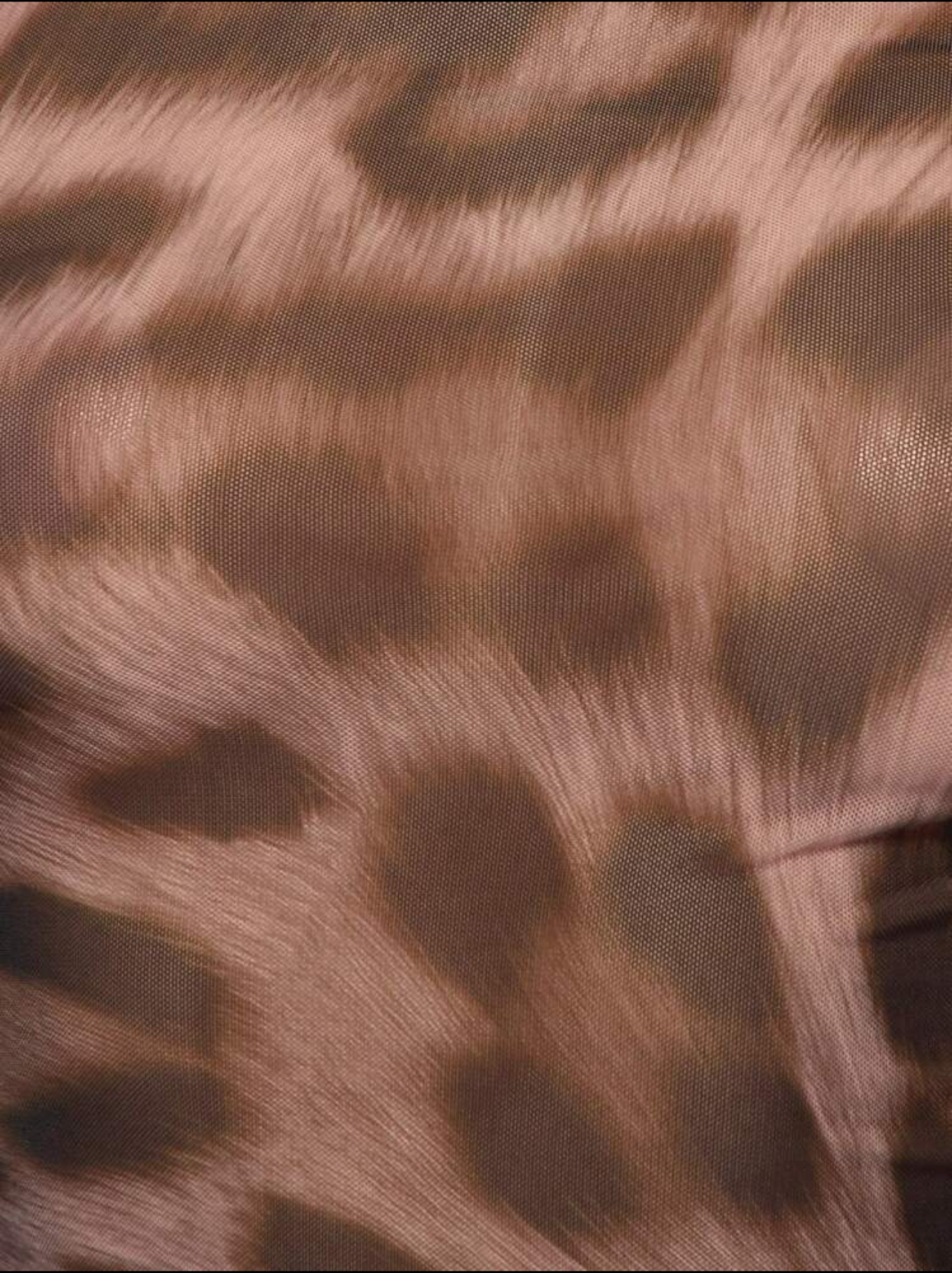 Leopard Allure Top